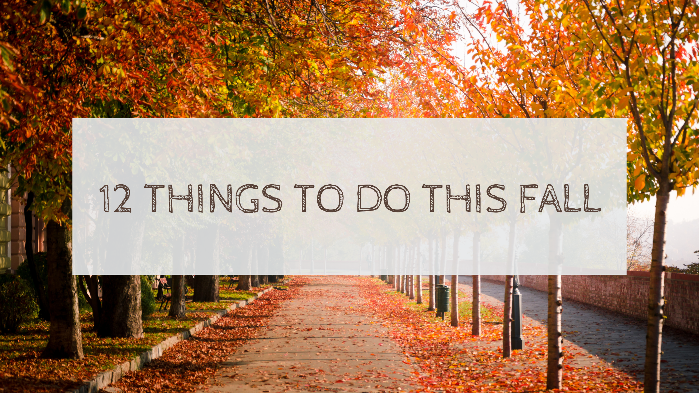 12 Things To Do This Fall!
