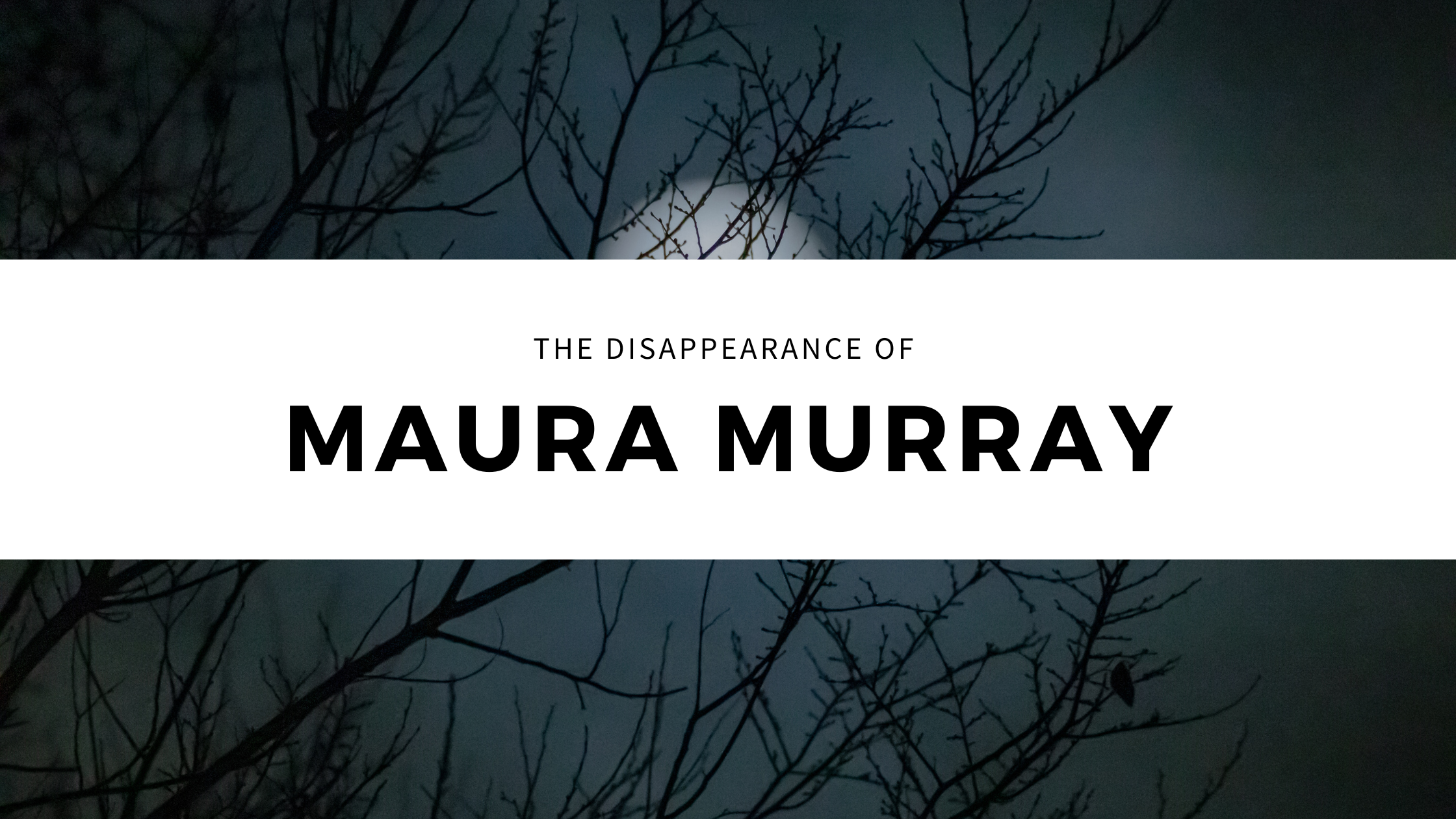 The Disappearance of Maura Murray