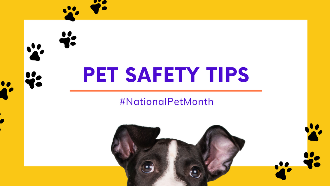 National Pet Month: Tips to Keep Your Furry Friends Safe and Happy