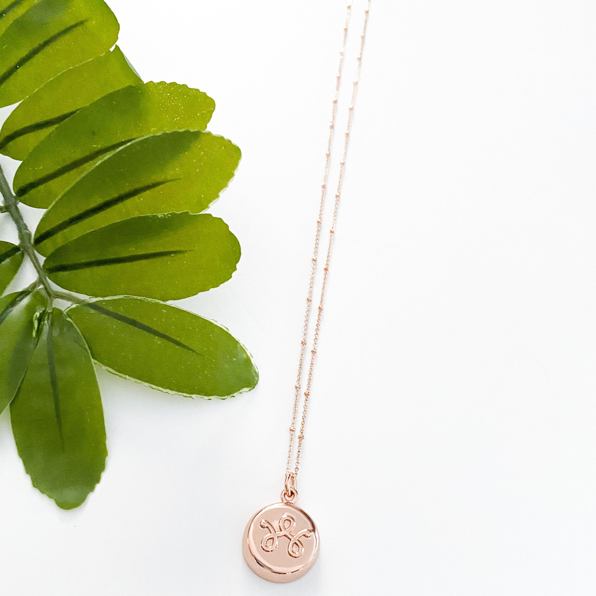 Rose Gold Necklace